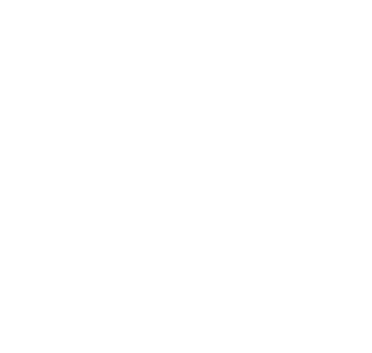 山东hjc888黄金城冶炼股份有限公司